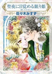聖夜に目覚める眠り姫【分冊】 9巻