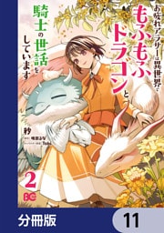 お疲れアラサーは異世界でもふもふドラゴンと騎士の世話をしています【分冊版】　11