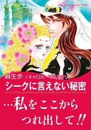シークに言えない秘密
