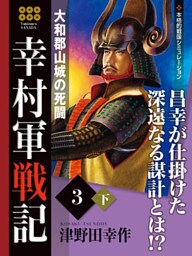 幸村軍戦記　３　下　大和郡山城の死闘
