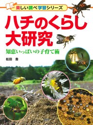 ハチのくらし大研究