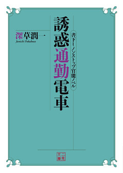 誘惑通勤電車