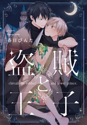 盗賊と王子【単話売】(4)