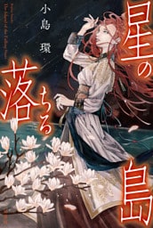 星の落ちる島