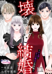 壊された結婚～サレ妻とサイコ悪女の攻防戦～１１