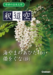 学研の日本文学 釈迢空 海やまのあひだ（抄） 倭をぐな（抄）