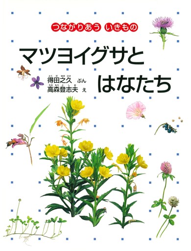 マツヨイグサとはなたち