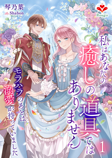 私はあなたの癒しの道具ではありません〜モラハラのあとは溺愛が待っていました〜