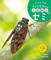 セミ１４　しゃしん絵本　小さな生きものの春夏秋冬