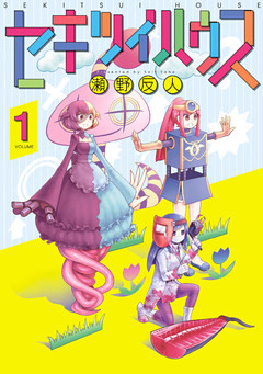 セキツイハウス