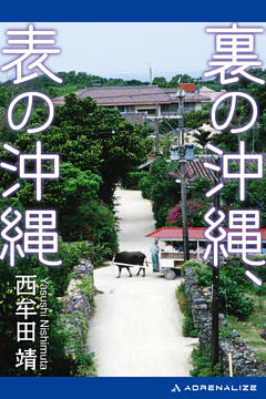 裏の沖縄、表の沖縄