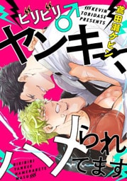 ビリビリ♂ヤンキー、ハメられてます(3)　ナマでヤッたら、危ないぜ！？