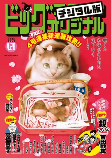 ビッグコミックオリジナル 2025年8号（2025年4月4日発売)