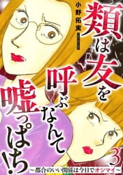 類は友を呼ぶなんて嘘っぱち！～都合のいい関係は今日でオシマイ～ 3巻