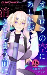 オーロラの空にあしたが消えてしまう前に【マイクロ】（２８）