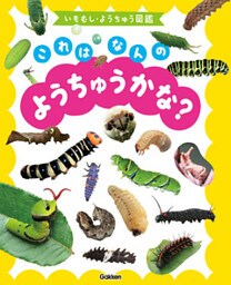 いもむし・ようちゅう図鑑　これはなんのようちゅうかな？