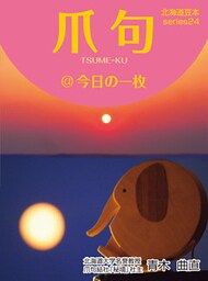 爪句＠今日の一枚