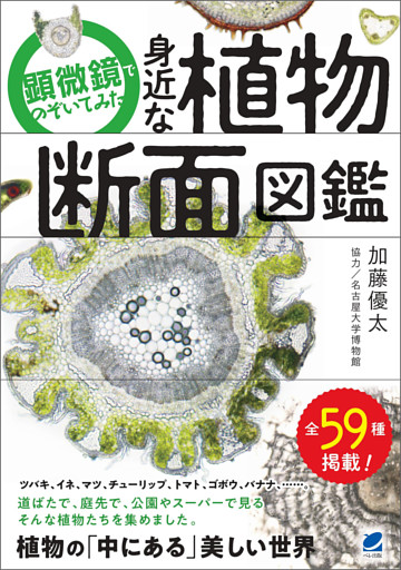 顕微鏡でのぞいてみた 身近な植物断面図鑑