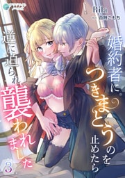 婚約者につきまとうのを止めたら逆に迫られ襲われました3話