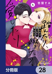 踏んだり、蹴ったり、愛したり【分冊版】　28