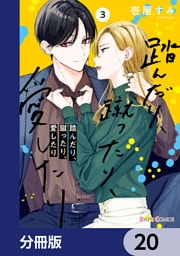 踏んだり、蹴ったり、愛したり【分冊版】　20