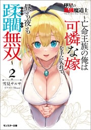 墜星の最強魔道士 ～亡命王族の俺は可憐な嫁を手に入れて、昼も夜も蹂躙無双～（ノベル）２巻 【電子書籍限定特典SS付き】