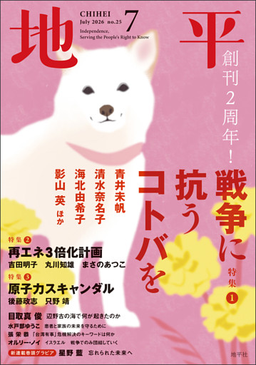 地平