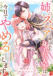「姉のスペア」と呼ばれた身代わり人生は、今日でやめることにします～辺境で自由を満喫中なので、今さら真の聖女と言われても知りません！～１２