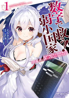 数字で救う！ 弱小国家