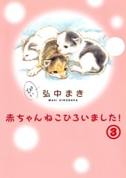 赤ちゃんねこひろいました！その3