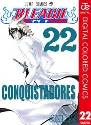 BLEACH カラー版 22