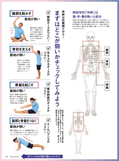 PART1：理学療法士・中村尚人先生に聞く「体幹の基本」と「椅子筋トレ」