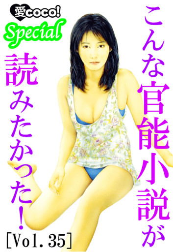 こんな官能小説が読みたかった！vol.35