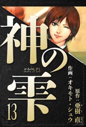 神の雫　愛蔵版　13