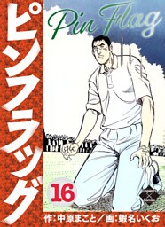 ピンフラッグ 16