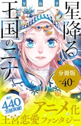 星降る王国のニナ　分冊版（４０）