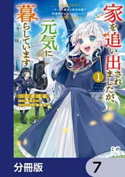 家を追い出されましたが、元気に暮らしています　～チートな魔法と前世知識で快適便利なセカンドライフ！～【分冊版】　7