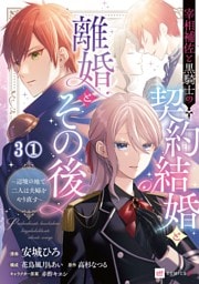 【単話版】宰相補佐と黒騎士の契約結婚と離婚とその後 ～辺境の地で二人は夫婦をやり直す～　第3話（1）