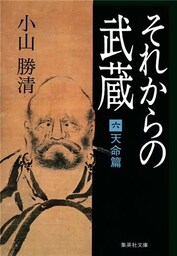 それからの武蔵（六）天命篇