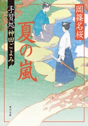 夏の嵐　手習処神田ごよみ