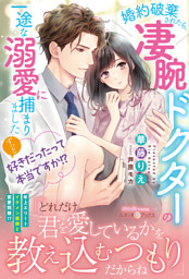 身ごもったら、この結婚は終わりにしましょう～身代わり花嫁はS系