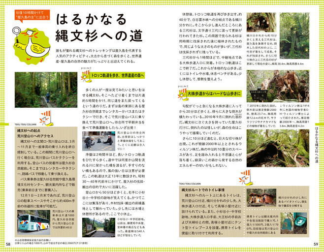 はるかなる縄文杉への道