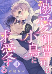 溺愛御曹司は小鳥に求愛する 【短編】11