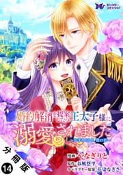 婚約解消を提案したら王太子様に溺愛されました ～お手をどうぞ、僕の君～（コミック） 分冊版 14