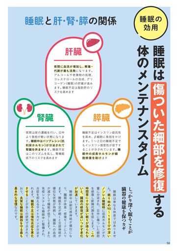 【睡眠の効用】睡眠は傷ついた細部を修復する体のメンテナンスタイム