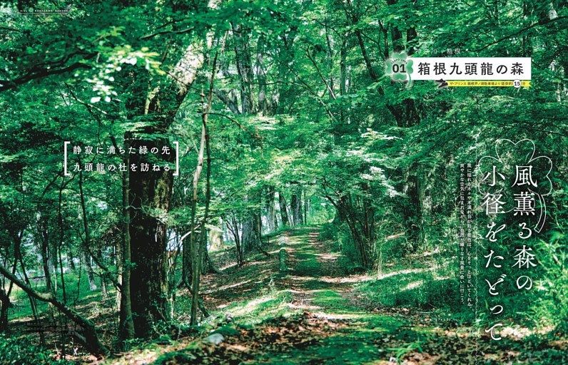 箱根九頭龍の森