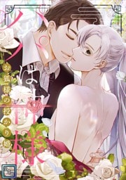 パパは神様～お狐様の授かり婚【全年齢版】(17)