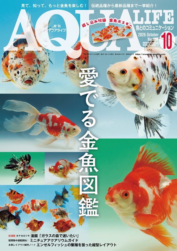 アクアライフ 10月号