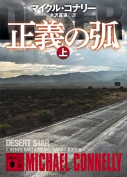 正義の弧(上)