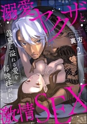 【dブック特別版】溺愛ヤクザと激情SEX 義兄に溢れる愛を毎晩注がれて（分冊版）　【第2話】